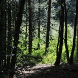 Abbildng: Platzhalter